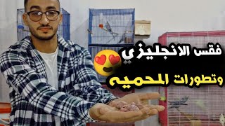 متابعه غرفه الطيور ورؤيه الانتاج | ومتابعه اخر تطورات المحميه 🤝🏼😍