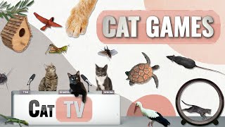 Cat Games Ultimate Cat TV Compilation Vol 75 | 2 ЧАСА 🐝🐞🦋🦎🦜🐜🐭🧵