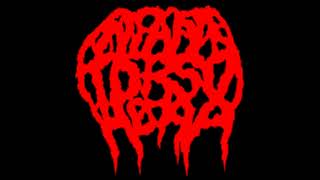 Infant Torso Heap - 2002 - Society Decayed Completely FULL DEMO ALBUM Brutal Death Metal / Goregrind