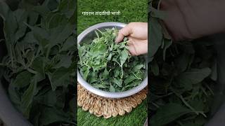 उन्हाळा विशेष: गावरान पध्दतीने बनवलेली तांदळीची भाजी | Tandalichi Bhaji | रानभाजी #shorts #viral