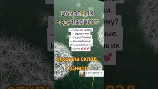 подробнее об условиях работы склада https://t.me/sklad_dnepr_dandelion