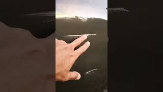 Hilangkan calar halus pada kereta | Remove fine scratches on car