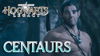 Centaurs - Hogwarts Legacy - Part 47