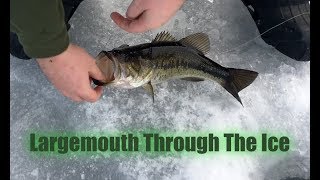 Largemouth Bass Ice Fishing In Maine