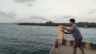 A Morning Show with Giant Trevally #fishing