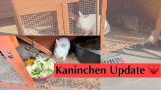 Danke für Euer Feedback/YouTube Update ♥️/Kaninchenbande/🥰