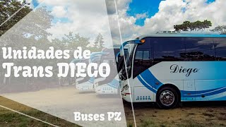 Unidades YUTONG y KING LONG ~Trans DIEGO~ 🚌