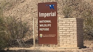 Imperial NWF at Martinez Lake Southeast of Cibola NWF