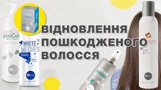 ВІДНОВЛЕННЯ ПОШКОДЖЕНОГО ВОЛОССЯ (ХІМІЧНИМИ ПРОЦЕСАМИ)