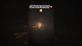 CORNATION MOGRA SKYSHOT | ❤️ #crackers #fireworks #experiment #crackerstesting #diwali #firecracker