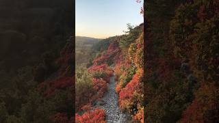 Herbst wie im Bilderbuch! #herbst #autumn #nature #wanderlust