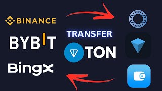 How to Transfer TON to TON Wallets & Complete the Transaction Task in DOGS Coin!