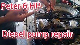 How to Peter 6 HP diesel pump repair Peter 6 HP fuel pump repair