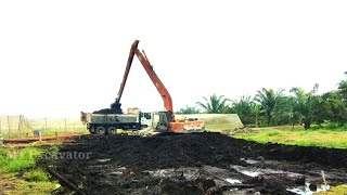 Excavator long arm loading tanah gambut