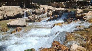 دوستای عزیز هزار تایی مون مبارک باشه تشکر از شومو عزیزان که ماره حمایت میکنید 🎉✨️👏👏🎈