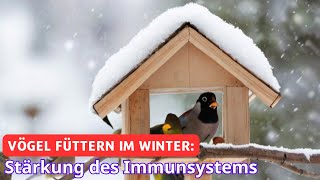 Vögel füttern im Winter kann deren Immunsystem stärken | Wissen aktuell - SWR2 Impuls