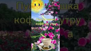 Каждое утро - это время начать жизнь снова !☕☕☕