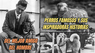 Perros famosos y sus inspiradoras historias: del mejor amigo del hombre