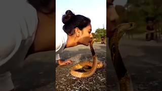 বিষধর কিং কোবরা সাপ কখন কামড়ায় জেনে নিন King Cobra Bite #সাপ #kingkobra #snakevideo #snake