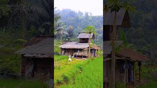 Rumah Terpencil di Lereng Gunung Cakrabuana Tasikmalaya #rumahterpencil #pemandanganindah #shorts