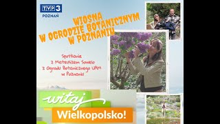 Witaj Wielkopolsko - Ogród Botaniczny UAM w Poznaniu wiosną - Paulina Królak