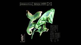 Siu Mata - Specimen A ‐ Amphibian Species EP - [WAJANG] - 2024