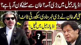 🔴LIVE | Who is Coming To Meet Imran Khan in Jail? | Ali Mohammad Khan Gave Big News