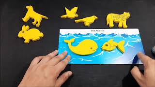 Land, Air and Water Animals Activity