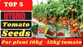 भारत में शीर्ष 5 संकर टमाटर की किस्म # top 5 hybrid tomato variety in india# tomato's farming 🙏