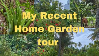 My updated home garden tour  | please subscribe and support#subscribe #home #garden #coimbatore#vlog