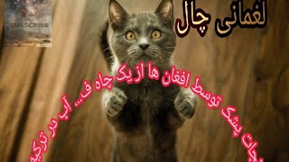 نجات یک پشک توسط افغان ها  لغمانی چال Najat cat by afgs