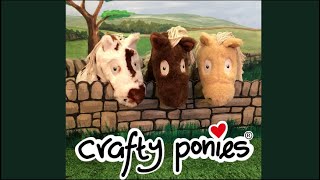 Crafty Ponies out and about!