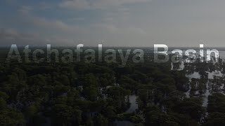 Atchafalaya Basin from above