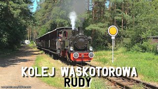 Lato na Kolei Wąskotorowej Rudy: Las49-3343, Lxd2-8, Lyd1-150 // Summer at Rudy Narrow-gauge Railway