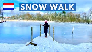 NL VLOG #11 Snow and Winter Walk in Delftse Hout Netherlands | Salju di Belanda | Sneeuw in Delft