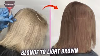 How To Dye Hair Back To Natural Color | Blonde to Brown Hair Tutorial 2023 by Eva Lorman