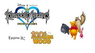 Kingdom Hearts: Episode 12 (100 Acre Wood)