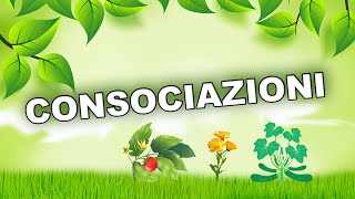 Consociazioni tra fiori piante e ortaggi in orto