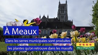 Embellir la ville de Meaux