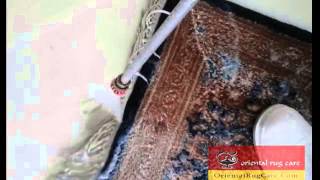 Oriental Rug Cleaning