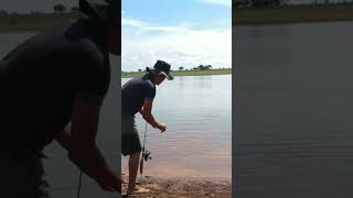 pescaria na pousada do Junior são José do Buriti 🐟🐟🎣🎣@gigantedapesca-Marcos