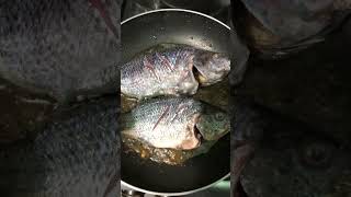 Fried Tilapia #viral #shorts #trending #shortvideo #asmr #cooking