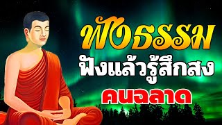 ฟังธรรมะก่อนนอน 🥱หยุดคิดมาก จิตสงบ คิดบวก ชีวิตมีความสุข ได้บุญ🙏ธรรมะสอนใจปล่อยวาง