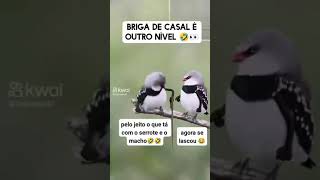 as mulheres sao complicadas 🤣🤣🤣🤣🤣🤣