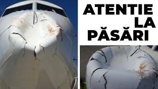 Ține Minte Asta Data Viitoare Cand Urci in Avion