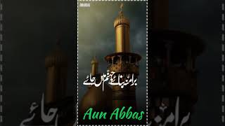 Agar koi Sunkar Ali as ka Qasida |  اگر کوئی سن کر علیؑ کا قصیدہ | #aunabbas #shots  #syedabbas