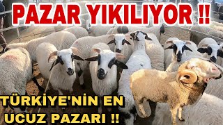 HERKES BU PAZARI TERCİH EDİYOR | KÜÇÜKBAŞIN KALBİ BU PAZARDA ATIYOR..