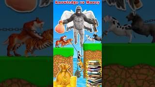 Knowledge vs Money With Tiger vs Cow Buffalo #shorts #cow #tiger #youtubeshort #cartoon