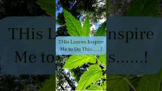 "Leaves that Inspire! 🍃 See How Nature Became My Canvas #art #homedecor #wallartprints #wallart