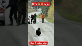 Bear🐻🐻 attack #youtube #animals